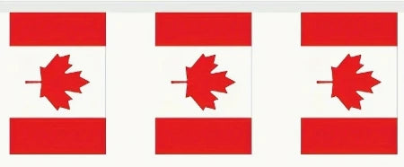 Canada Flag Pennant Garland - 21ft (6.4m)